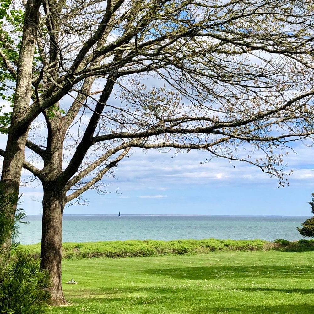 Meet your Posher, Marielle